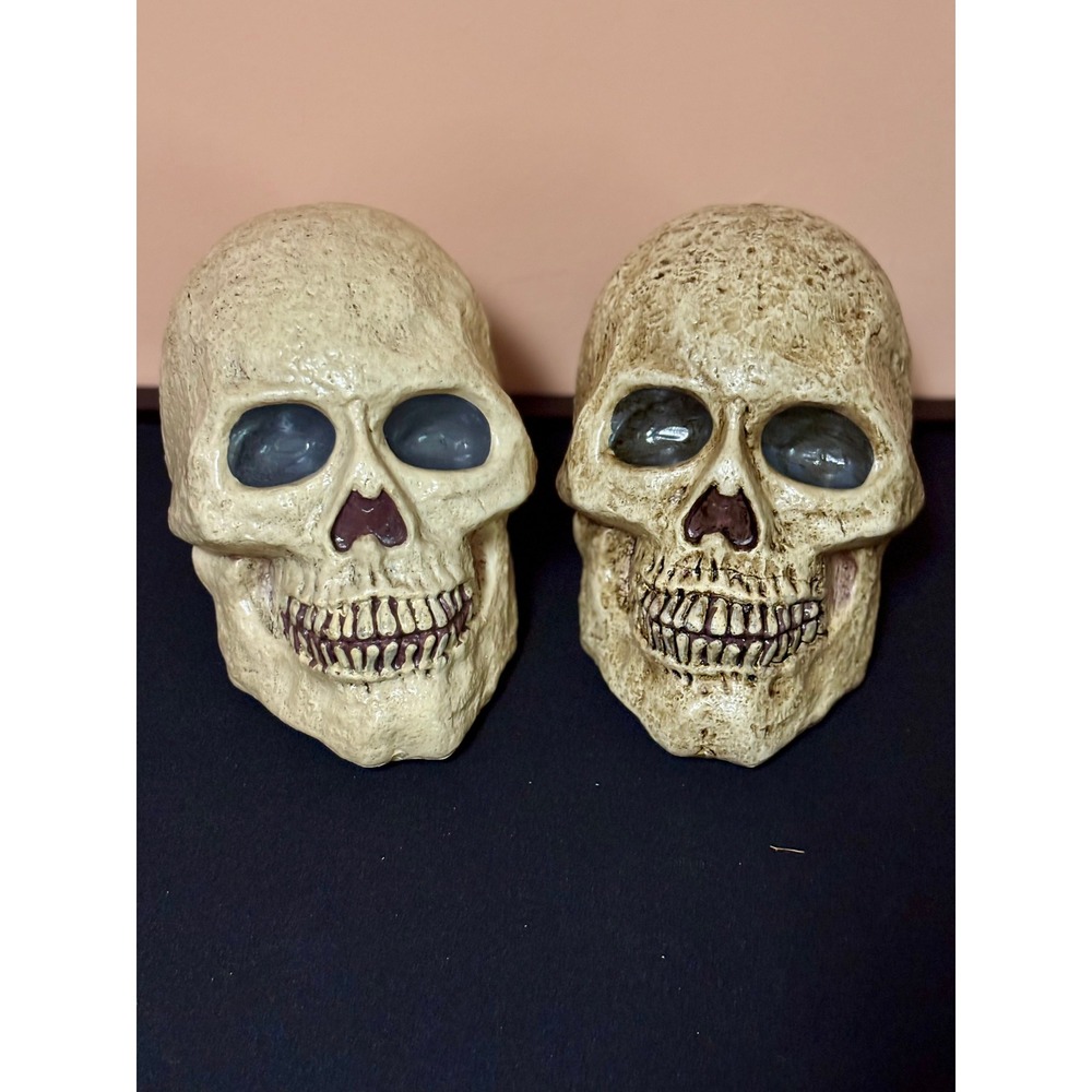 Set of 2 Realistic Halloween Skull Blow Mold Plastic Aged Bone Prop Decor Horror